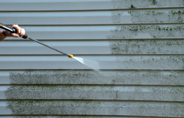 Professional  Pressure Washing Services in Woodlands, CA